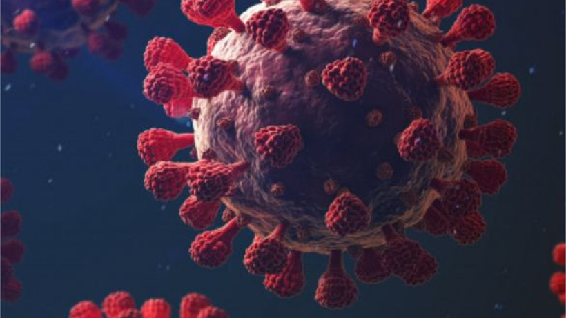 Covid-19’dan Sonra Yeni Tehlike! Uzmanlar Uyardı