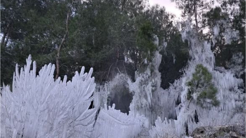 Kazdağı Bal Ormanı Buz Tuttu