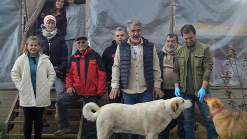 Balıkesir'de Sokak Hayvanları İçin Gönüllüler El Ele