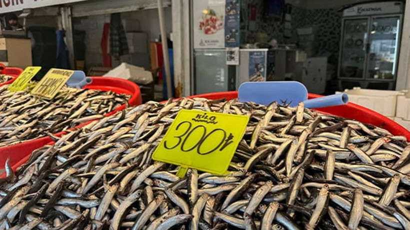 Kar Yağışı Sonrası Balık Fiyatlarında Dalgalanma