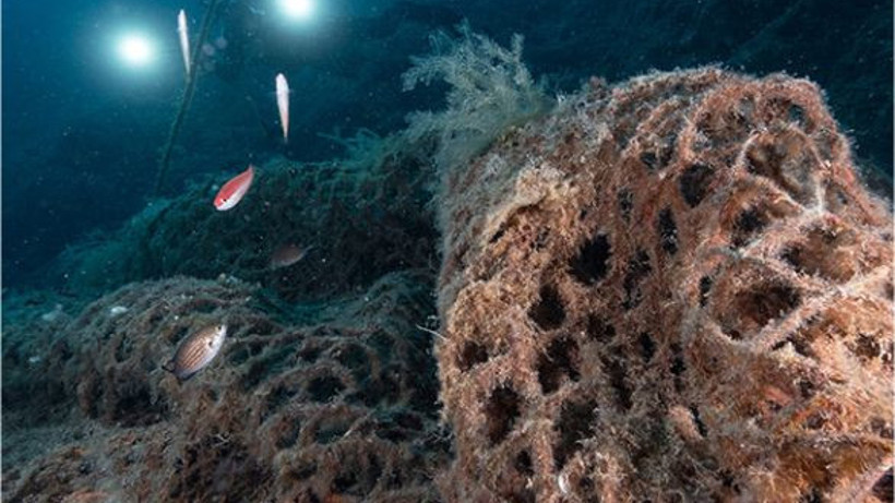 Balıkesir’de Algarna Sezonu Başladı