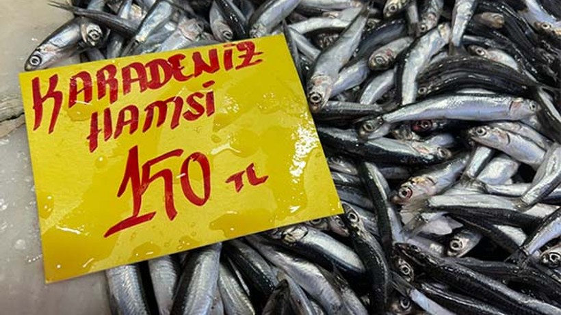 Balıkesir’de Balık Fiyatlarında Düşüş Yaşandı