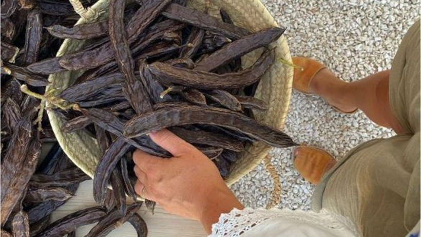 Balıkesir’de Keçiboynuzu Nerede Bulunur?