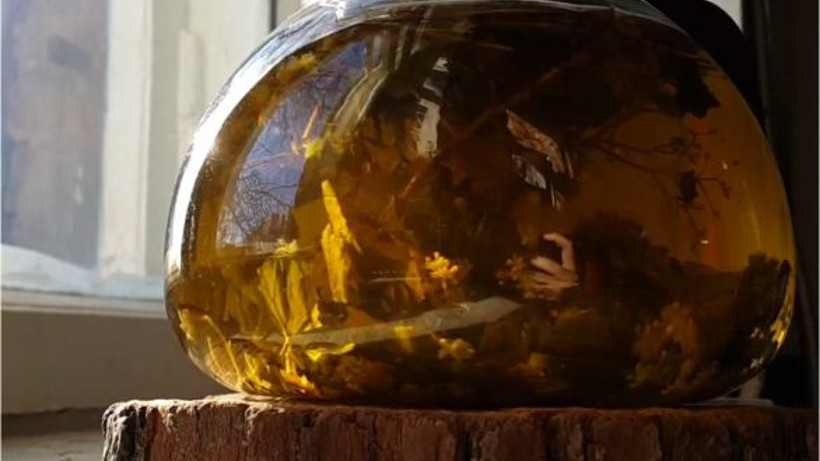 Balıkesirliler İftardan Sonra Rezene İçiyor