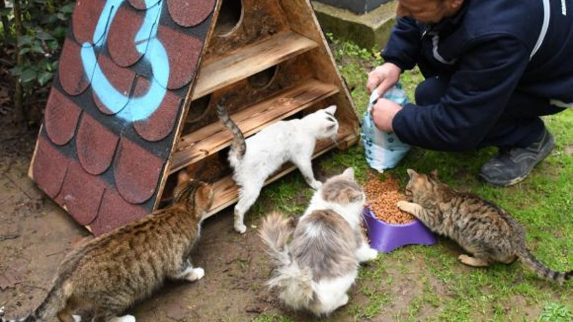 Başkan Akın’dan patili dostlara sıcak yuva