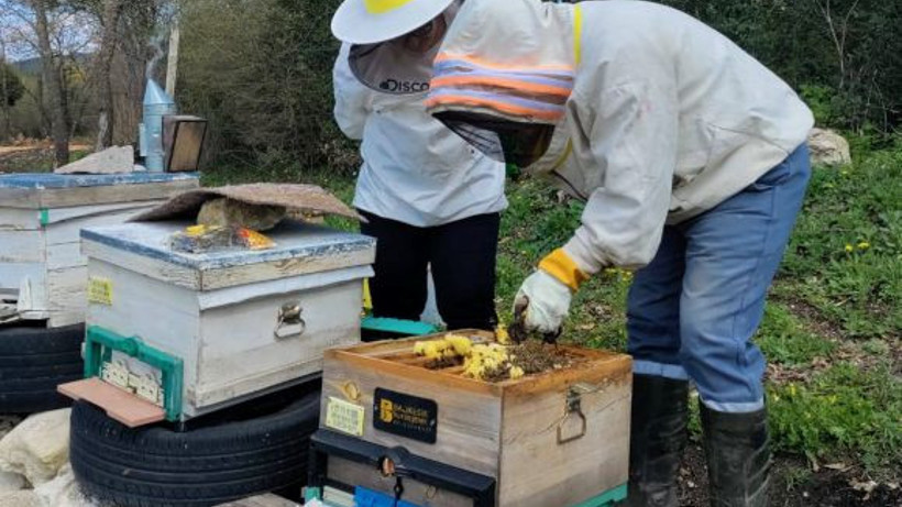 Balıkesir’de Arıcılığa Bilimsel Dokunuş
