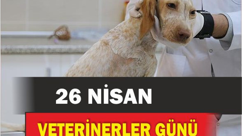 Balıkesir, Dünya Veterinerler Günü, Hayvan Hakları