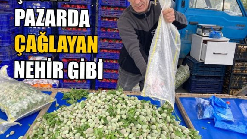 Çağla Pazarda Çağlayan nehir gibi