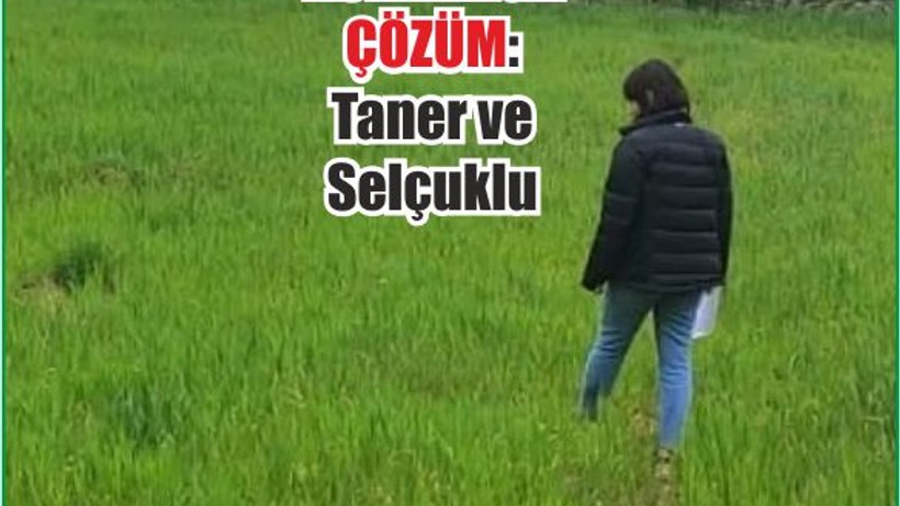 Kuraklığa Çözüm: Taner ve Selçuklu