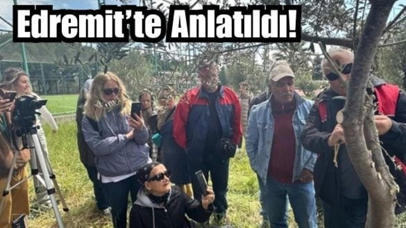 Edremit MYO’da Zeytinde Aşılama Eğitimi Düzenlendi