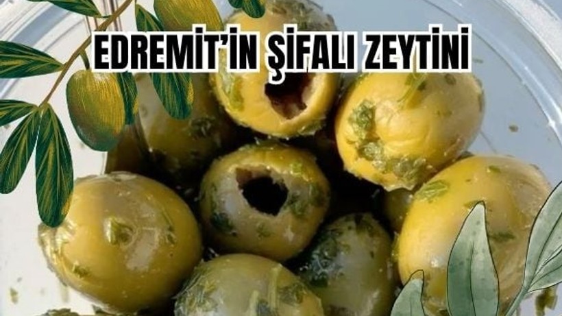 Sabah Aç Karnına Zeytin Yemenin 6 Şaşırtıcı Faydası