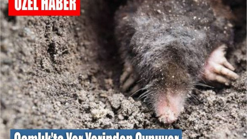 Çamlık’ta Yer Yerinden Oynuyor