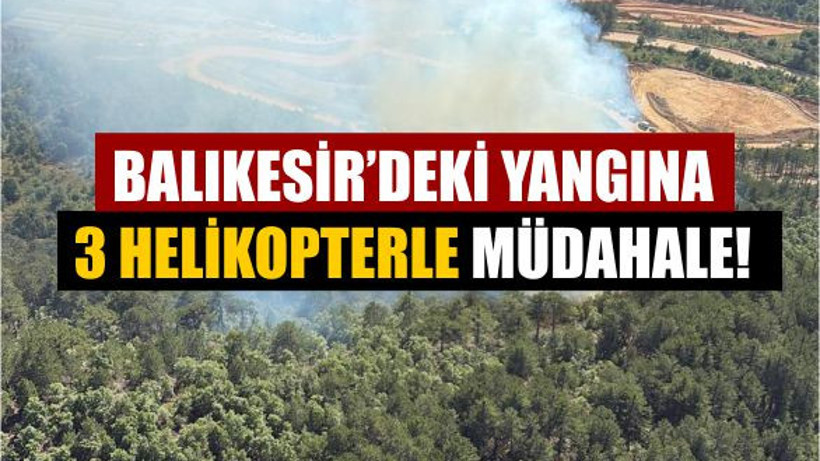 Bigadiç'te Çıkan Yangın, Karadan Sudan Müdahaleyle Söndü!