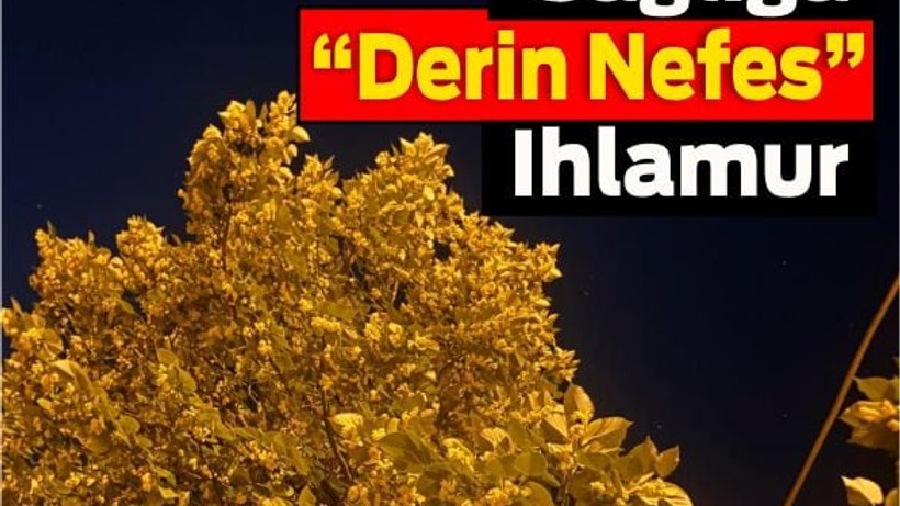 Sağlığa “Derin Nefes” Ihlamur