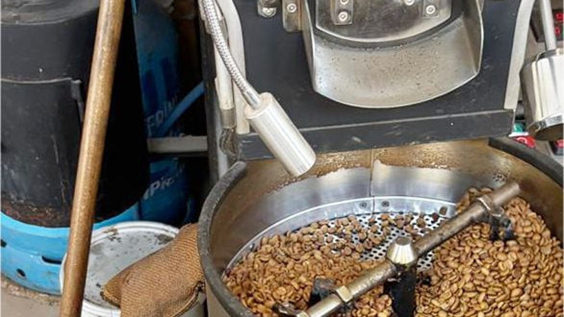 Balıkesir’de Kahve Ağacı Üretimi