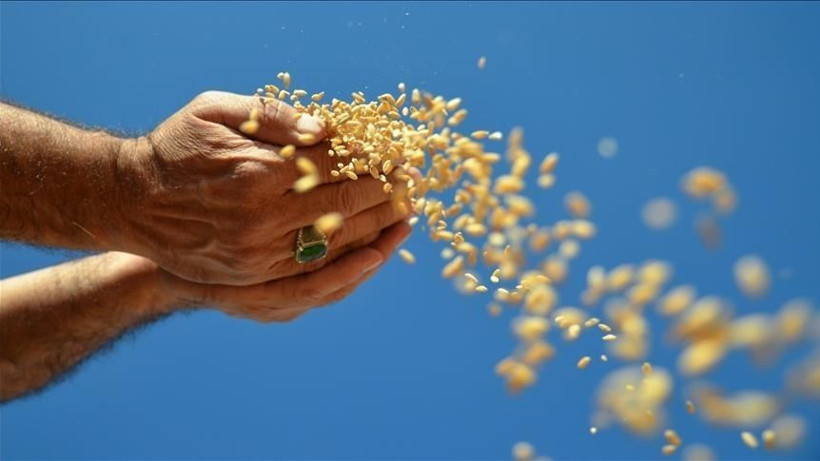 Balıkesir’de Ekim Ayı Etkinlikleri Başlıyor! - Resim: 7