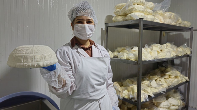 Balıkesir’in İlk Butik Mandırası: 50 Peynirli Şehre Katkı Sağlayacak - Resim: 3