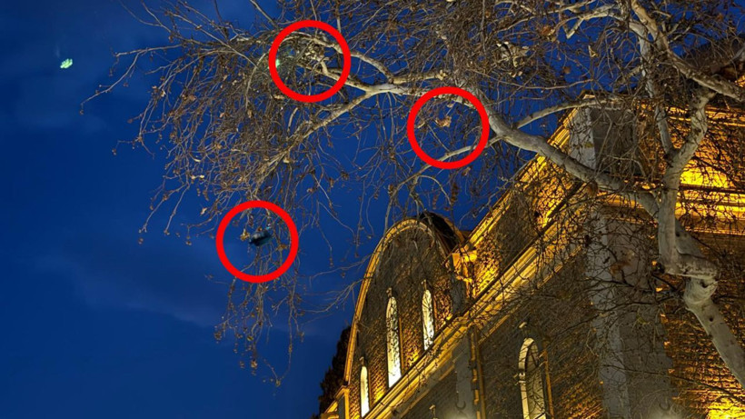 Noel Baba Balıkesir’de Ağaçlara Sıkıştı - Resim: 4