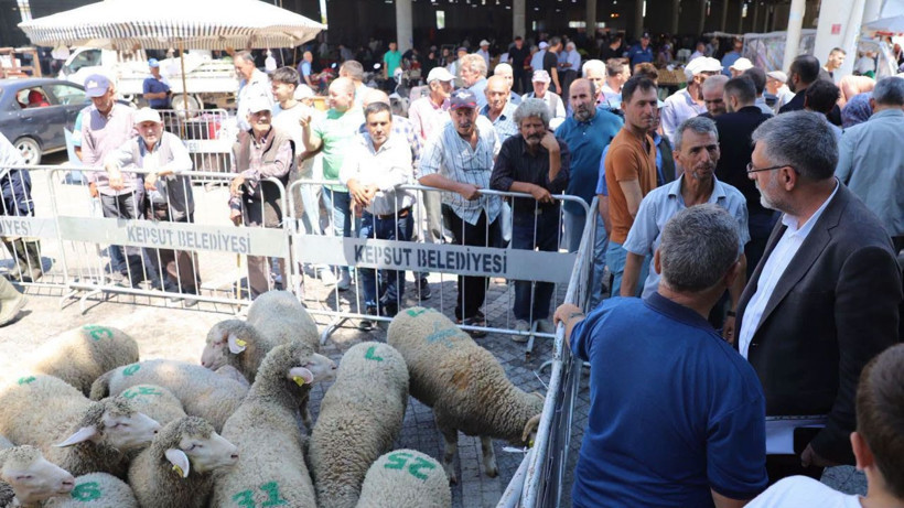 Kepsut Belediye Başkanı İsmail Cankul’dan 40 Üreticiye Ücretsiz Koç - Resim: 2