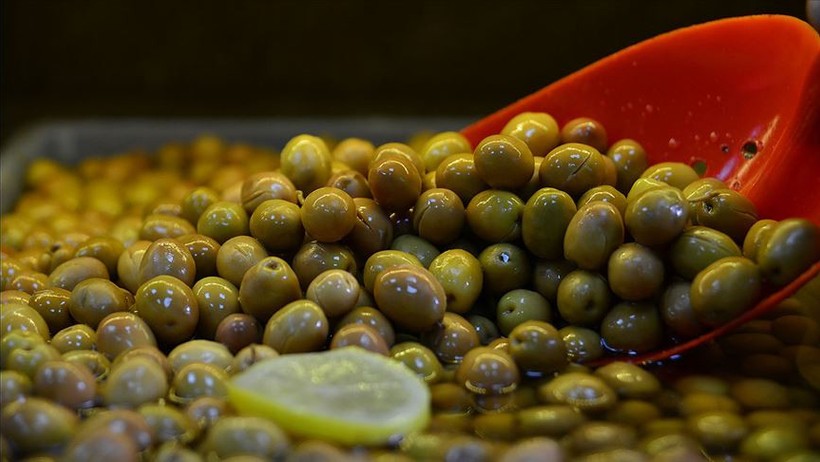 Zeytin Cenneti Balıkesir: Tat Testi ve Farklı Zeytin Türleri