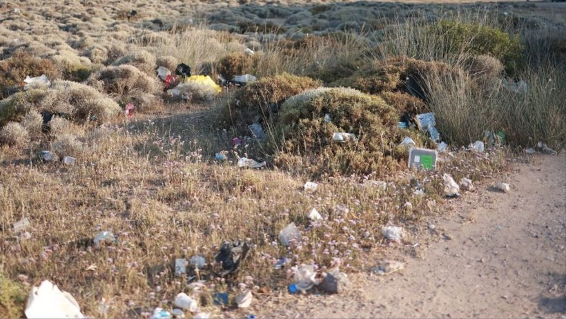 Koruma Altındaki Ayvalık Badavut’ta Çevre Felaketi Yaşanıyor!