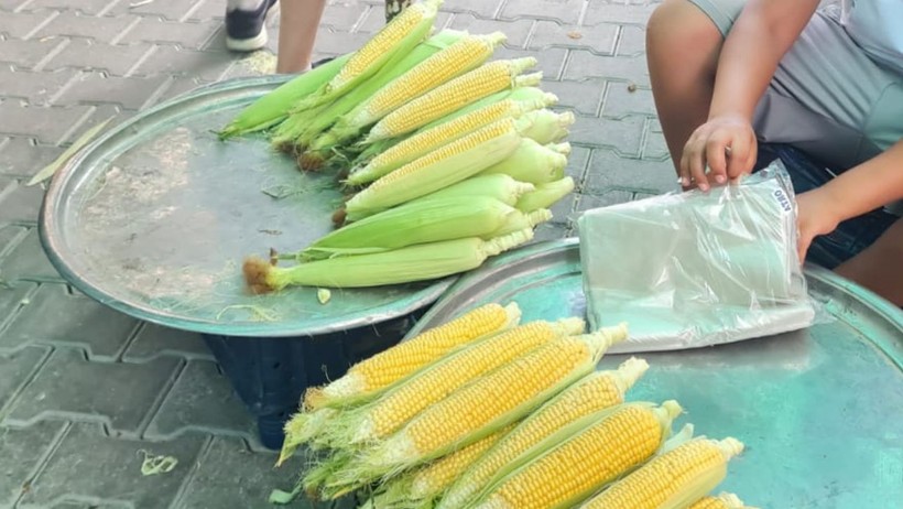Yaz Mevsiminin Vazgeçilmezi Mısır Tezgâhlarda Yerini Aldı