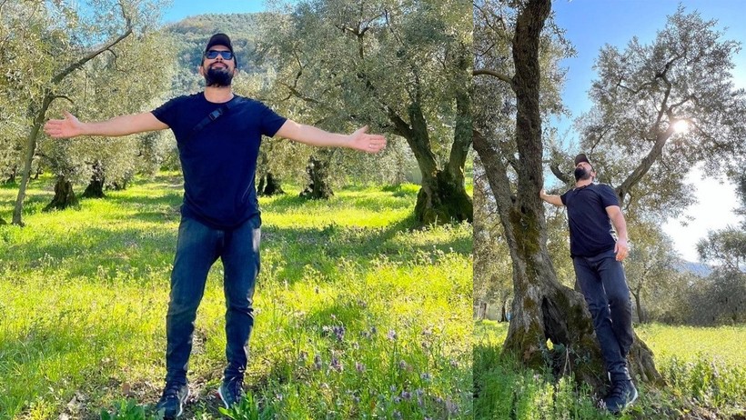 Zeytinlik Köşe yazısı macit ermiş