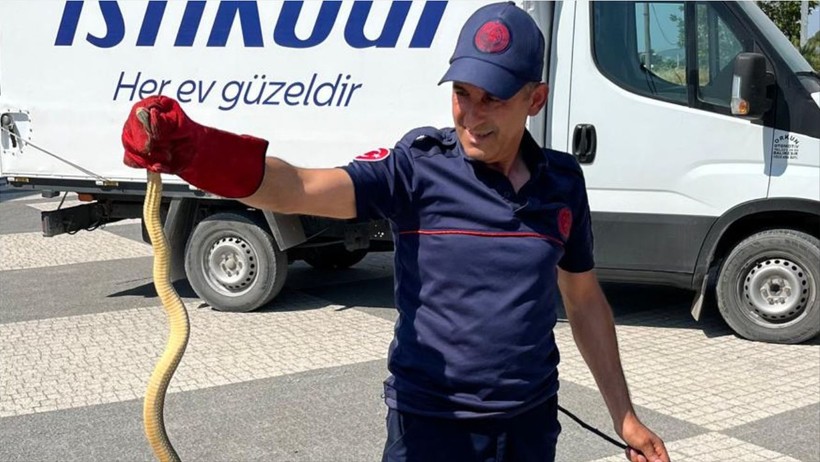Aracın Kaputunda Yılan Tehlikesi