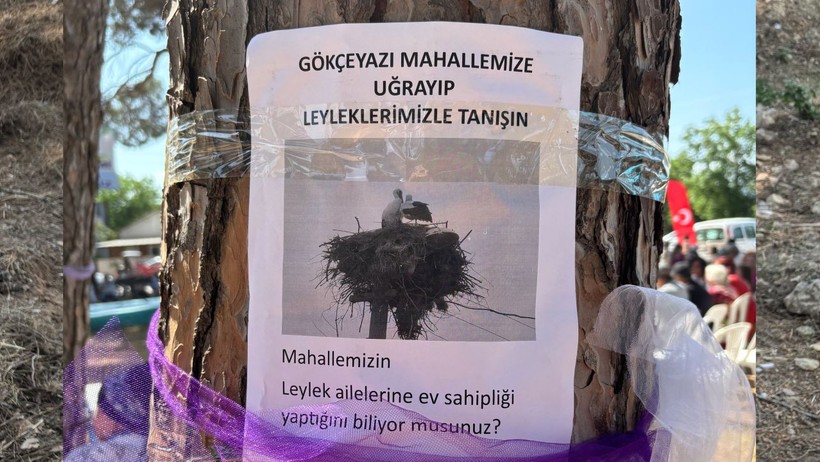 leylek