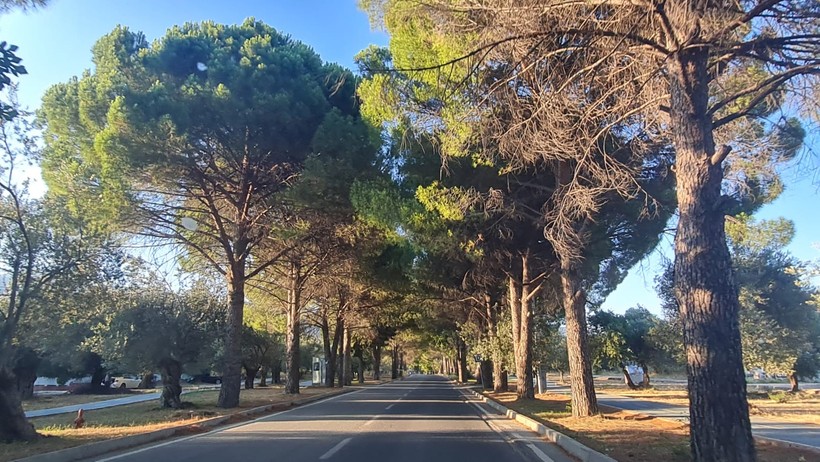  Şehrin Kalabalığından Huzura Kaçış Noktası Güre Köy Yolu