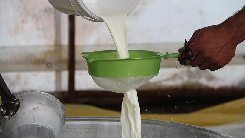 Çiğ İnek Sütü Litre Fiyatı 18,35 TL’ye Yükseltildi 