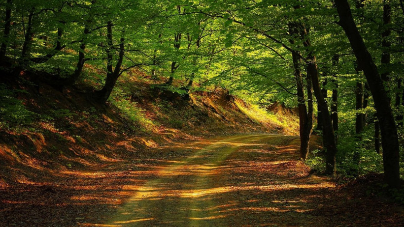 Balıkesir'in Kasım Ayı Aktiviteleri - 6. resim