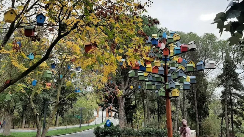 Neden Sonbaharda Değirmen Boğazı'na Gitmelisiniz? - 4. resim