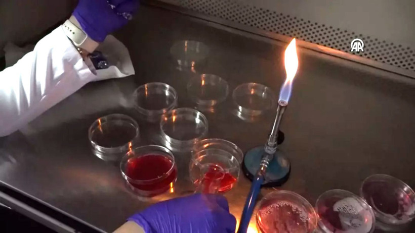 Gıdanın bozulduğunu renkle bildiren çalışma tescil aldı - 2. resim