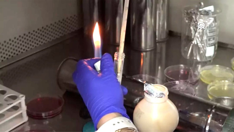 Gıdanın bozulduğunu renkle bildiren çalışma tescil aldı - 1. resim