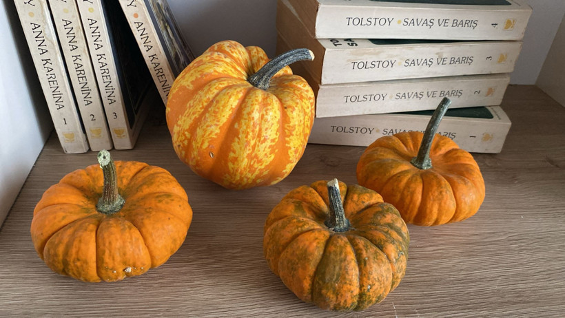 Süs Kabakları Nerede Kullanılır? Balıkesir’den İlham Veren Fikirler - 6. resim