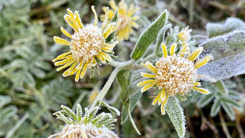 Balıkesir'de Sıcaklıklar 1 Dereceye Düşecek