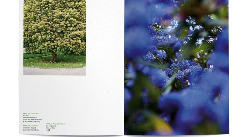 “Karşılaşmanın Meyveleri” İstanbul’da Ziyarete Açılıyor