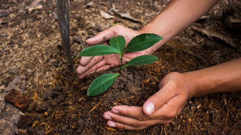 Balıkesir’de Fidan Dikim Etkinliği 18 Kasım’da Yapılacak