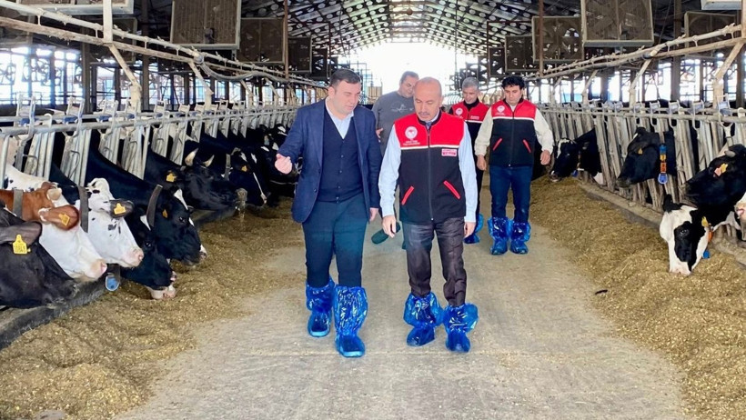 Balıkesir’de Şap Aşılaması Başladı