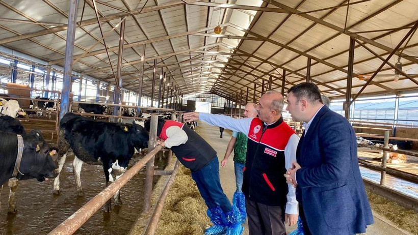 Balıkesir’de Şap Aşılaması Başladı