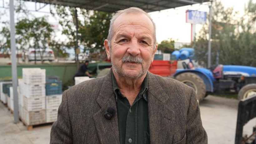 Kazdağları’nda Yeşil Çizik Zeytin Mesaisi Başladı