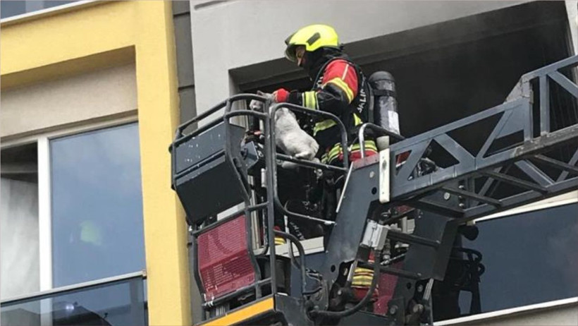 Bandırma’da Kurutma Makinesi Faciası