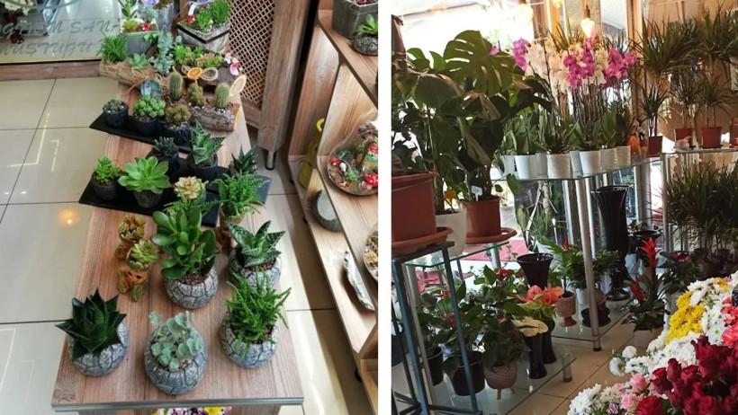 Balıkesir’de Öğretmenler Günü Çiçekleri Hazır