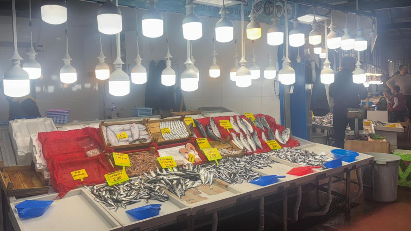 Bilinçsiz Avlanma Marmara’yı Bitiriyor!