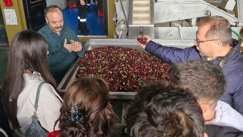 Ayvalık MYO Öğrencilerinden Zeytincilik Ziyareti