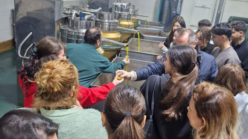 Ayvalık MYO Öğrencilerinden Zeytincilik Ziyareti