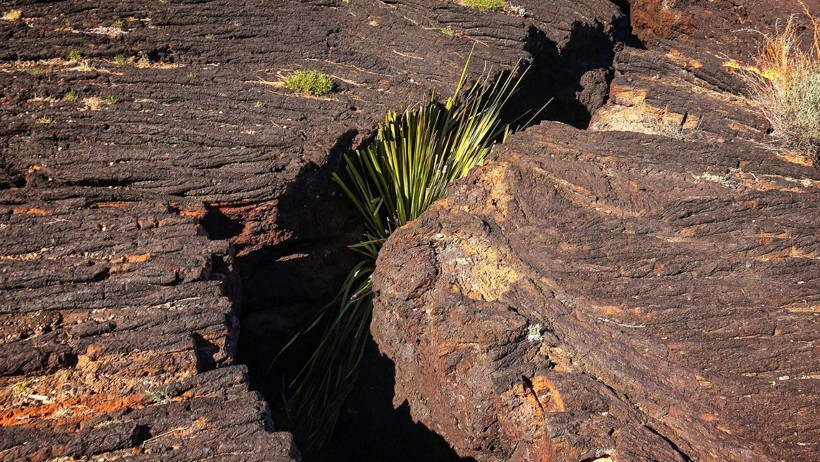 Balıkesir’deki Deprem Volkan-Tektonik Hibrit mi?