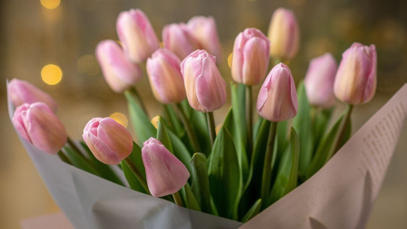 Öğretmenler Gününe Özel: Çiçeklerin Anlamları