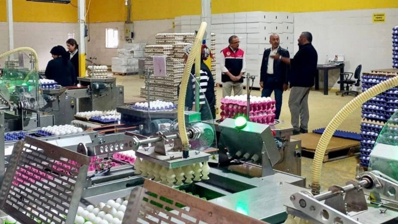 Savaştepe’de Yumurta Tesisi İncelendi